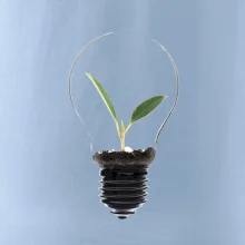 Žiarovka kvetináč