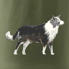 Border kólia kreslená