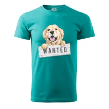 Zlatý retriever - šteniatko wanted