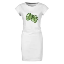 Monstera - dva listy Monstera - dva listy