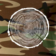 Letokruhy 100 bez veku