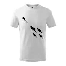 Potápač žraloky Potápač žraloky