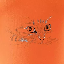 Mačka tvár kresba Mačka tvár kresba