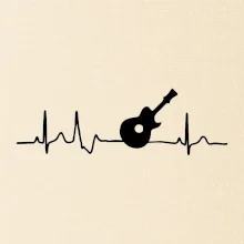 EKG akustická gitara
