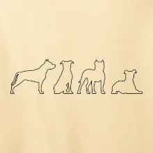 Americký stafordšírsky teriér v rôznych pozíciách