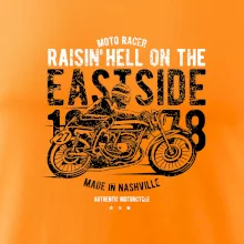 Raisin Hell Moto Racer