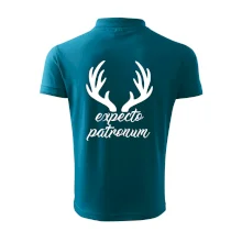 Harry - Expecto patronum