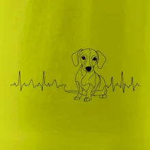 EKG krivka jazvečík