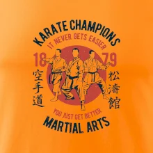 Karate Champions