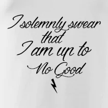 I solemnly swear that I'm up to no good