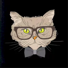 Hipster kocúrik Hipster kocúrik