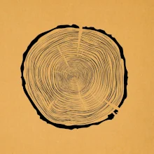 Letokruhy 80 bez veku