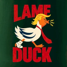 Donald Trump minimalistická kachna