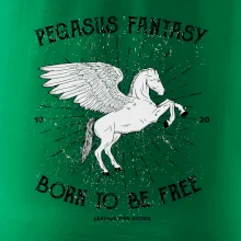 Pegasus fantasy Pegasus fantasy