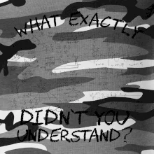 What exactly didn't you understand - physics