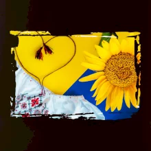 Ukrajina slnečnice a kroj Ukrajina slnečnice a kroj