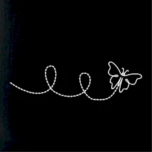 Dráha letu motýľa - slučka Dráha letu motýľa - slučka