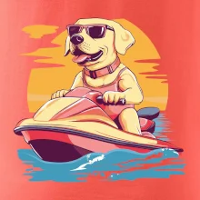 Zlatý retriever na vodnom skútri