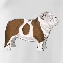 Vintage English bulldog