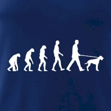 Evolúcia pes stavač Evolúcia pes stavač