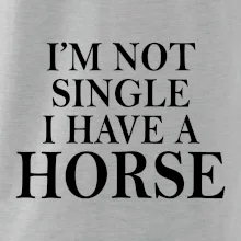 I have a horse