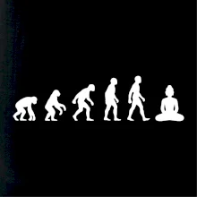 Evoluce budha Evoluce budha