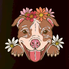 Americký stafordšírsky teriér hlava s kvetinami