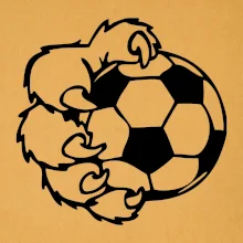 Medvedia laba futbal