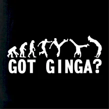 Capoeira - Got Ginga Capoeira - Got Ginga