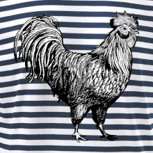 Kohút kreslený čiernobiely