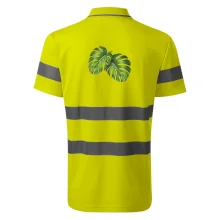 Monstera - dva listy Monstera - dva listy