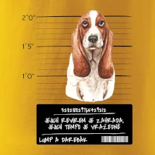 Baset - lump a darebák   Baset - lump a darebák