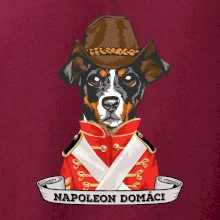 Napoleon domáci kríženec