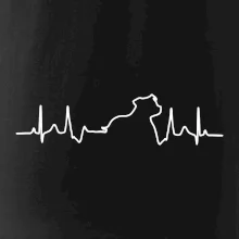 Stafordšírsky bulteriér ‎ EKG