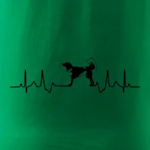 Český strakatý pes EKG