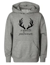 Harry - Expecto patronum