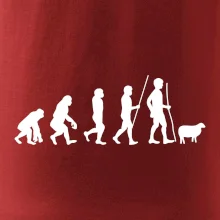 Evolúcia pastier oviec