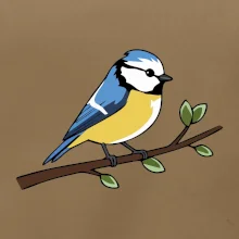 Sýkorka modrinka na vetve