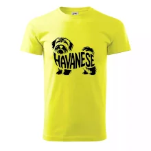Havanese nápis v tele