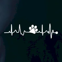 Ekg psia labka Ekg psia labka