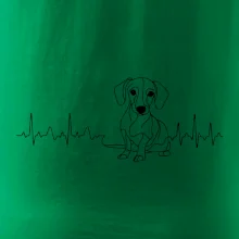 EKG krivka jazvečík