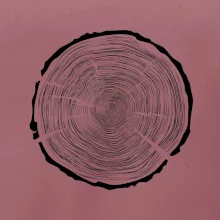 Letokruhy 100 bez veku