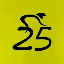 Cyklista oslavuje dvadsaťpäťku (25)