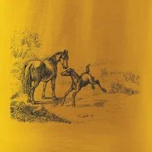 Kôň a žriebä maľované