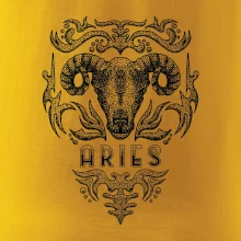 Aries - vintage Aries - vintage