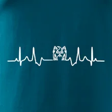 Shih-tzu ekg hlava Shih-tzu ekg hlava
