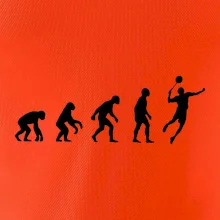 Evolúcia Bedminton