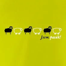 Som pasák - ovce v rade