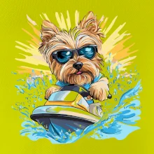 Yorkšírsky teriér na vodnom skútri