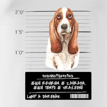 Baset - lump a darebák  